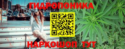 гашик Вязники
