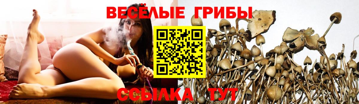 Псилоцибиновые грибы ЛСД Будённовск